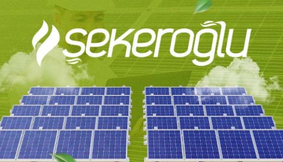 Şekeroğlu ( 2023 )